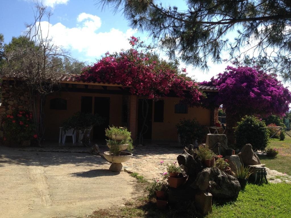 Il Ruscello Βίλα SantʼAnna Arresi Δωμάτιο φωτογραφία